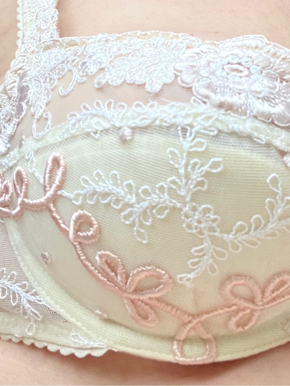 Lace-Embroidered Cream & Blush Balconette Bra - rare Nina Ricci-France, size 34B